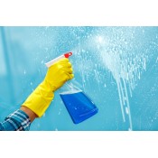 GLASS CLEANING DETERGENTS (6)