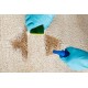 CARPET & TEXTILE CLEANERS